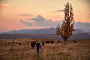 free-state-drakensberg-evening