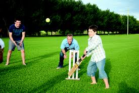 family-cricket