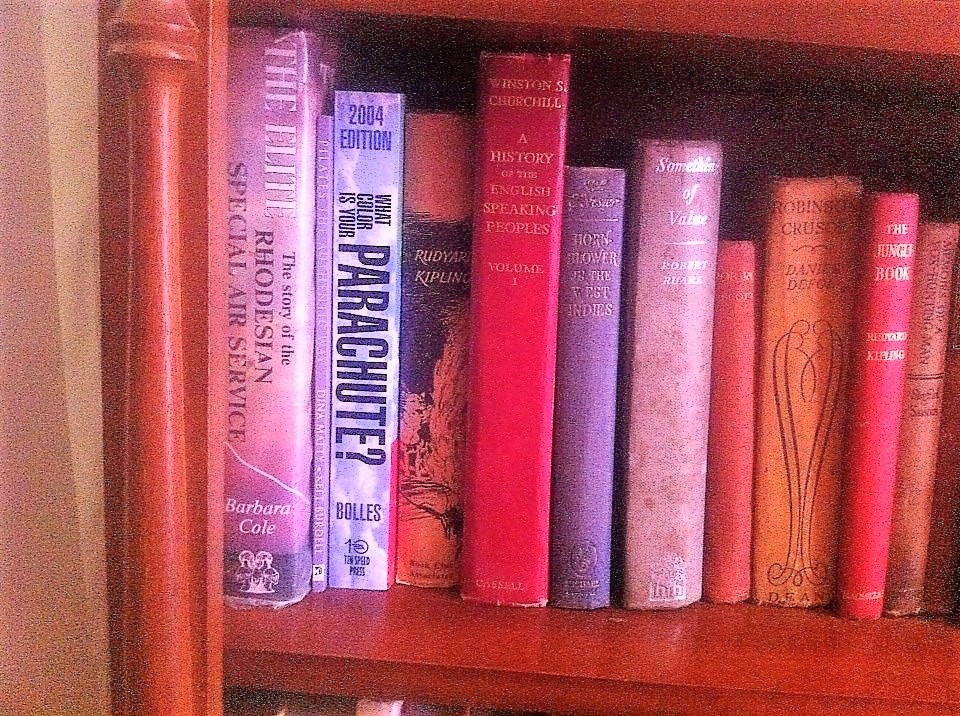 bottom shelf books.jpg