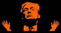 orange-donald