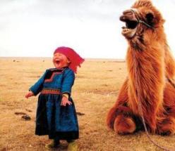 camel feeling good