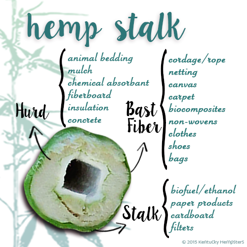hempstalk_diagram