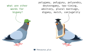 bigamy synonyms