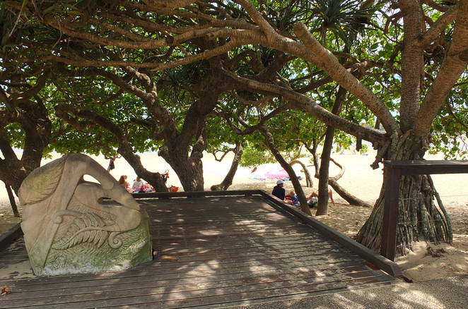 currimundi under trees