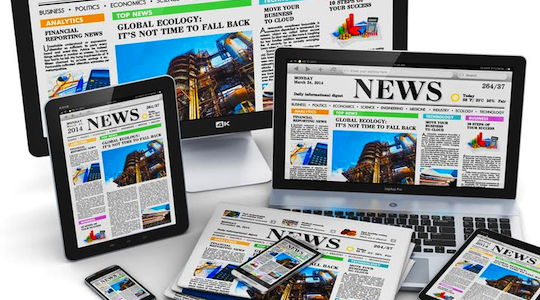 Feral dogs in the&nbsp;media