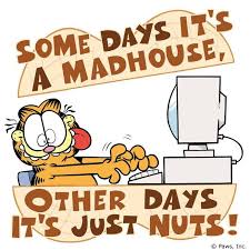 Working in a mad&nbsp;house