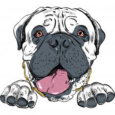 Farouk – Floppy and&nbsp;Fearless