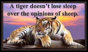 Just a splatter of&nbsp;thoughts…